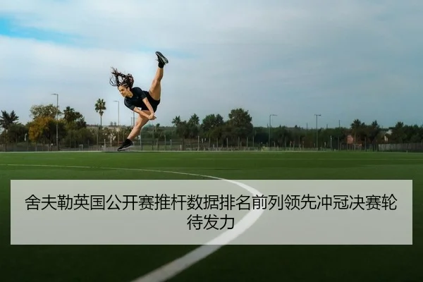 she-fu-lei-ying-guo-gong-kai-sai-tui-gan-shu-ju-pai-ming-qian-lie-ling-xian-chong-guan-jue-sai-lun-dai-fa-li-2-178.jpg